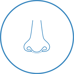 Nasal