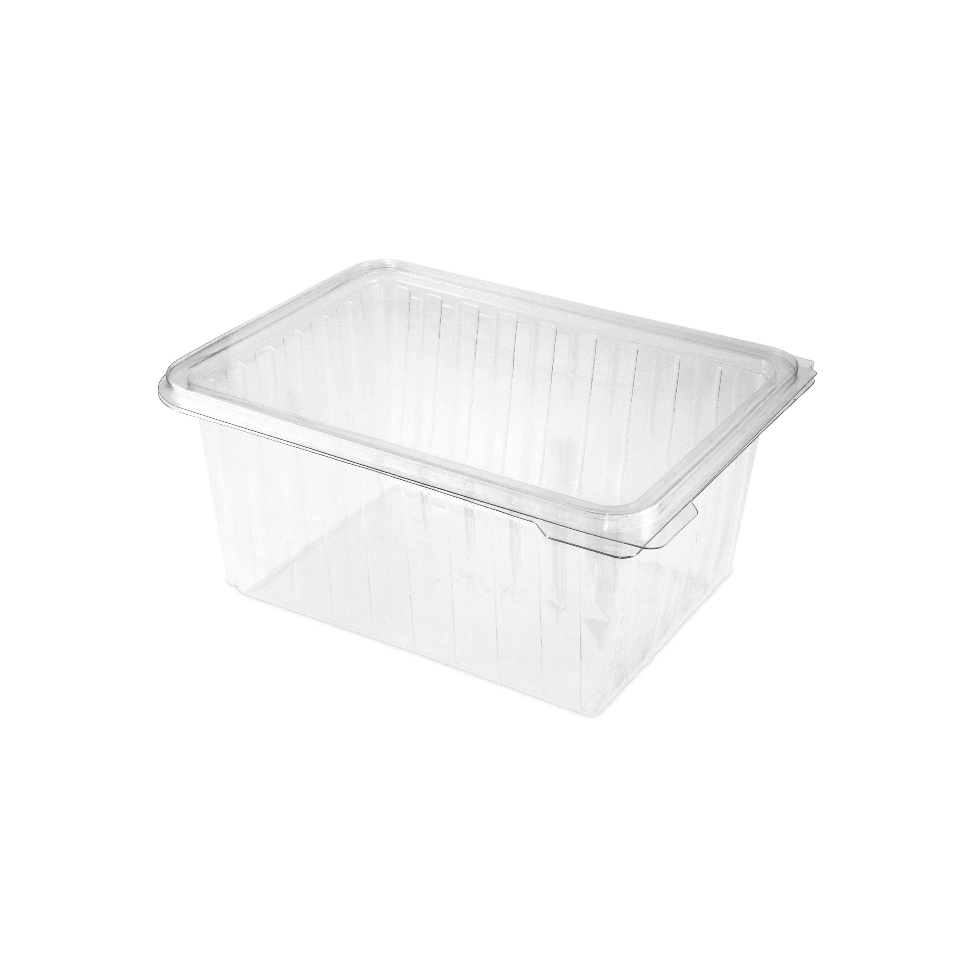 Thermoform Hinged Lid To Go Food Container Hamburger French Fries