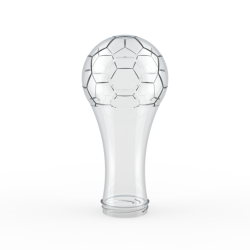 Soccer Trophy