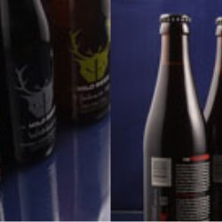 Rawlings brings Wild Beer to life