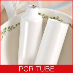 PCR Tube