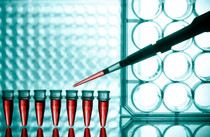 Analytical Services
