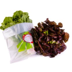 Compostable bags solution ends search for fresh produce growers