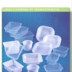 Containers Trays for Foods