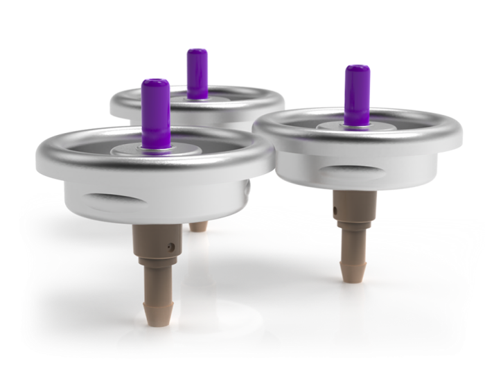 1 Inch Standard Valves