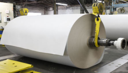 Coated Paperboard