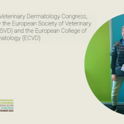 Unveiling the Future of Vet Dermatology Packaging: Insights from ECVD 2023