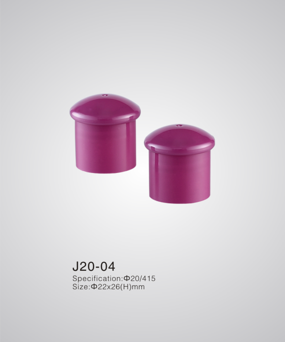 J20-04