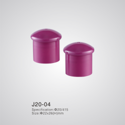 J20-04
