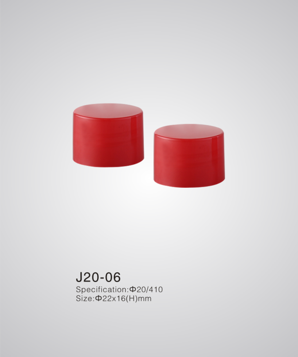 J20-06
