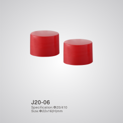 J20-06