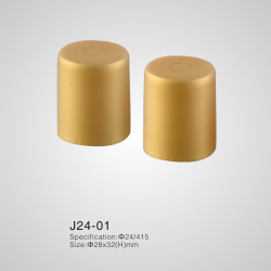 J24-01