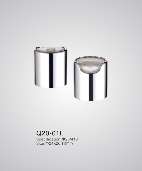 Q20-01L