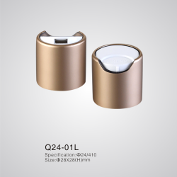 Q24-01L