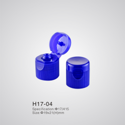 H17-04