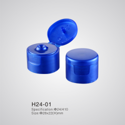 H24-01