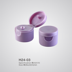 H24-03