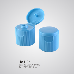 H24-04