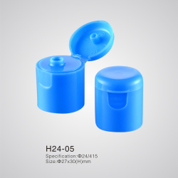 H24-05