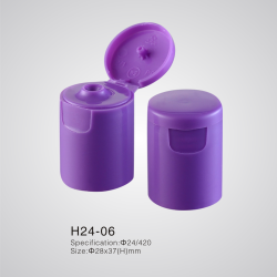 H24-06