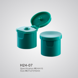 H24-07