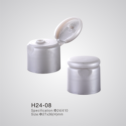 H24-08