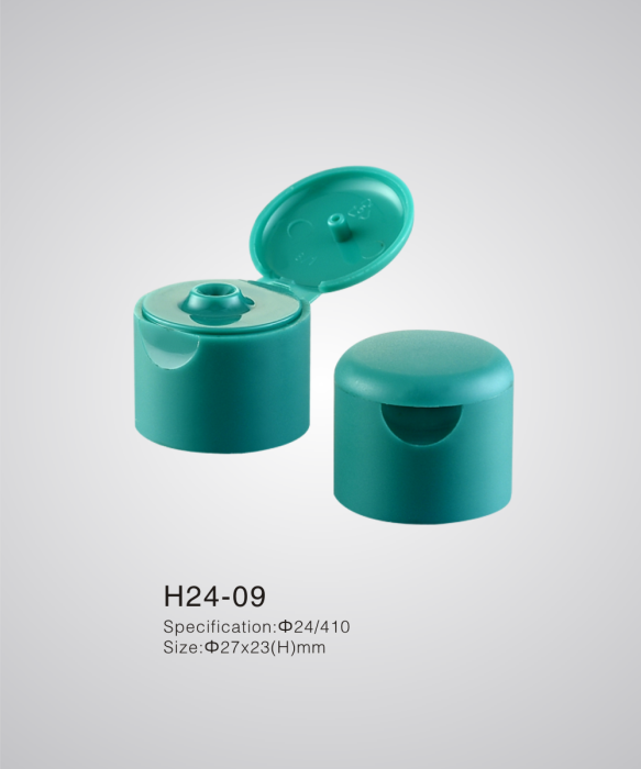 H24-09