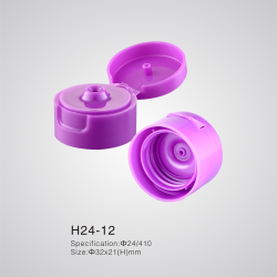 H24-12