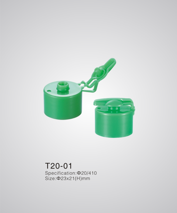 T20-01