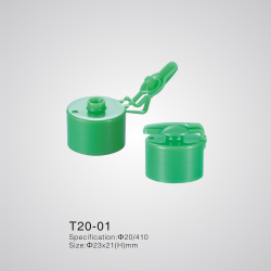 T20-01