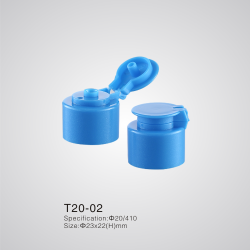T20-02
