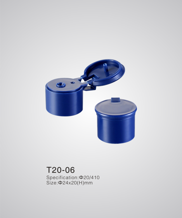T20-06