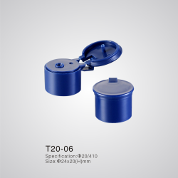 T20-06