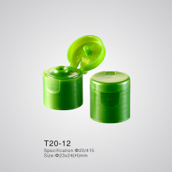 T20-12