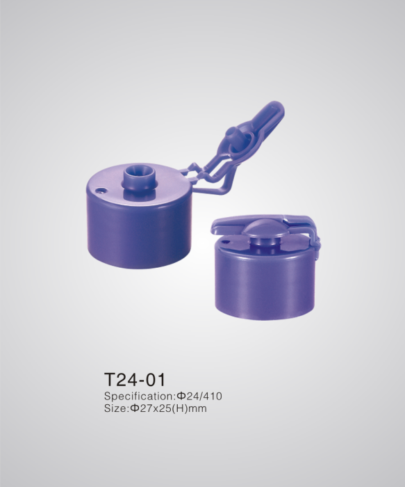 T24-01