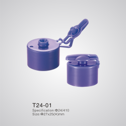 T24-01