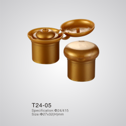 T24-05