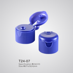 T24-07