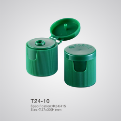 T24-10