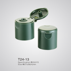 T24-13
