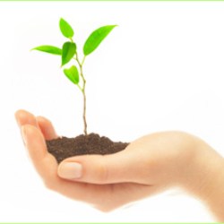 Weatherchems sustainability initiatives continue during 2012