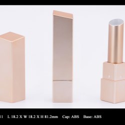 Lipstick Case FT-LS0911