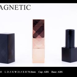 Lipstick Case FT-LS0943