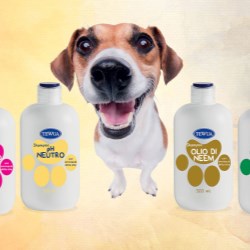 Tewua keeps pets clean and happy with help from Giflors 855 cap