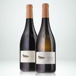 A simple and harmonious design for Fin Bec