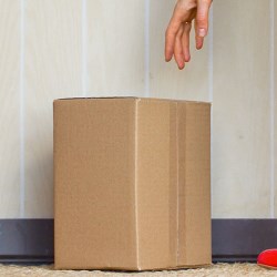 Big Ideas for 2019: Surge in Direct-to-Consumer shipping impacts protective packaging