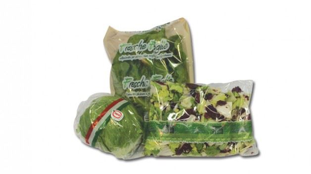 PE-PP Bags - PE-PP Covers - Extruded and woven tubular net - Sealable materials for punnets - Vertbag and Girsac - Ribbon, Labels and Stickers 