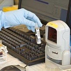 Software for labels and label printers
