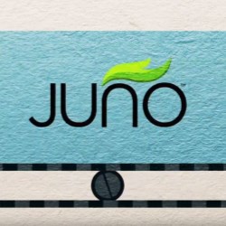 Recycling the unrecyclable: Introducing Juno Technology from Georgia-Pacific