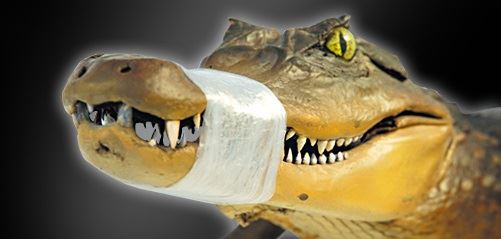 Image Broschüre